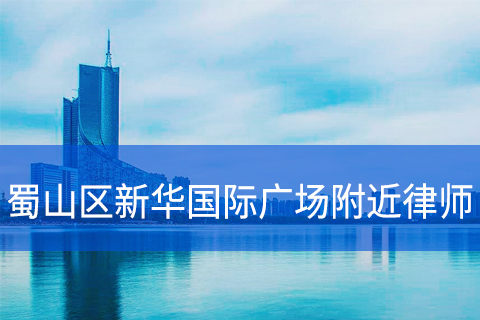 合肥蜀山区新华国际广场附近律师事务所