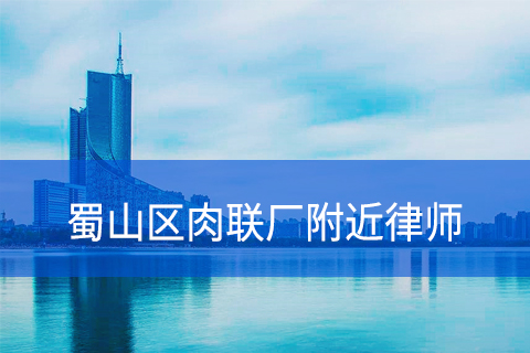 合肥蜀山区肉联厂附近律师事务所