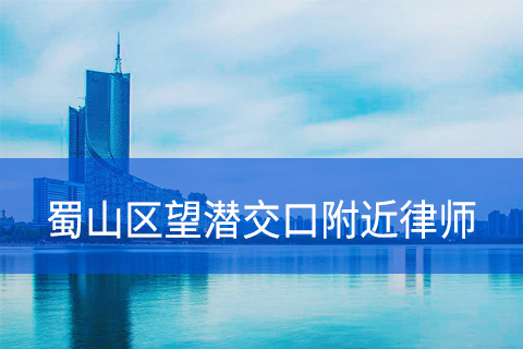 合肥蜀山区望潜交口附近律师事务所